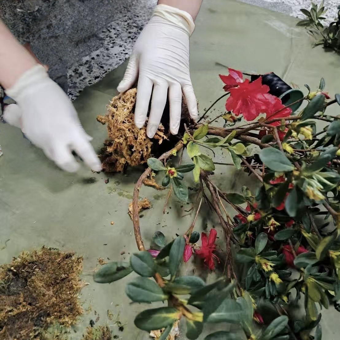 圖片來源:新北市政府